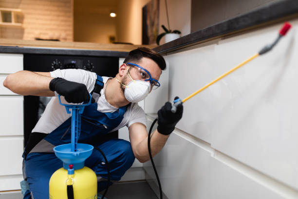 Best Cockroach Control Services  in Audubon, NJ