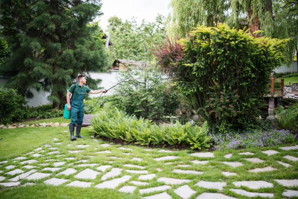 Professional Pest Control in Audubon, NJ